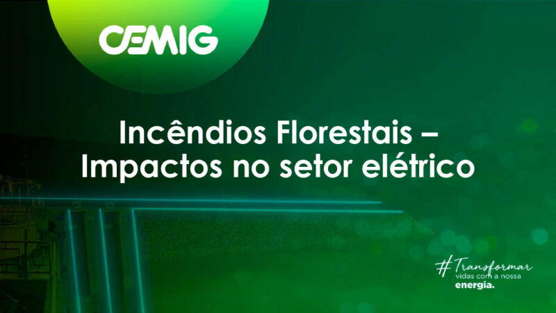 Prevenção a Incêndios Florestais – Cemig